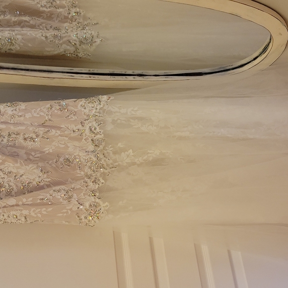 Beautiful GIGI Designs by La Femme lace gown - Picture 6 of 14